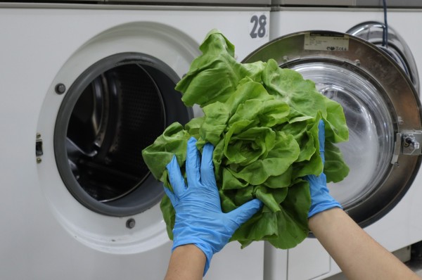 Les Ateliers - Lorette Poullion